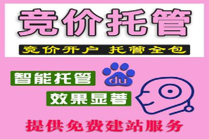 百度竞价广告在不同行业的投放策略及效果